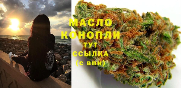 2c-b Краснослободск