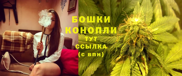 2c-b Краснослободск