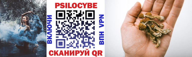 Галлюциногенные грибы мицелий  Купить закладки  Мышкин 