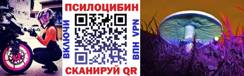 Псилоцибиновые грибы Magic Shrooms Мышкин